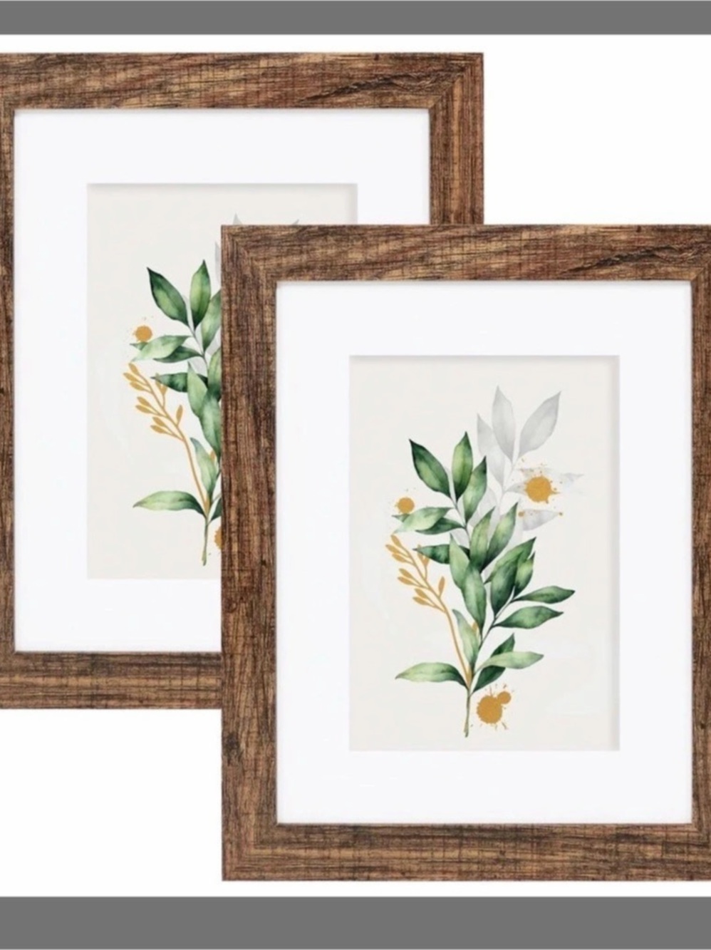Real Wood 8x10 Picture Frame Set of 2 Real Glass